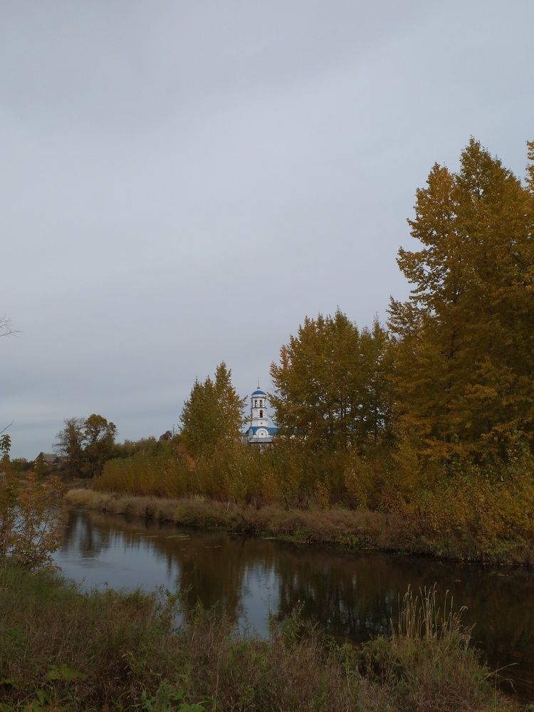 Photo #7006761