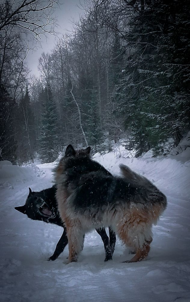 Photograph by Никита Сокольников