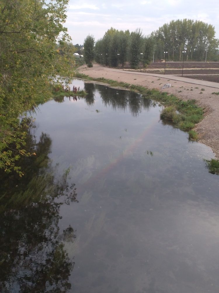 Photo #7006772