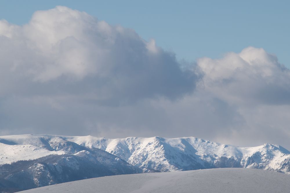 Photograph by Ivo Gerasimov