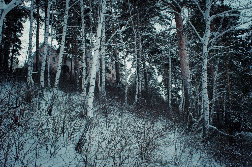 Photograph by Светлана Крон