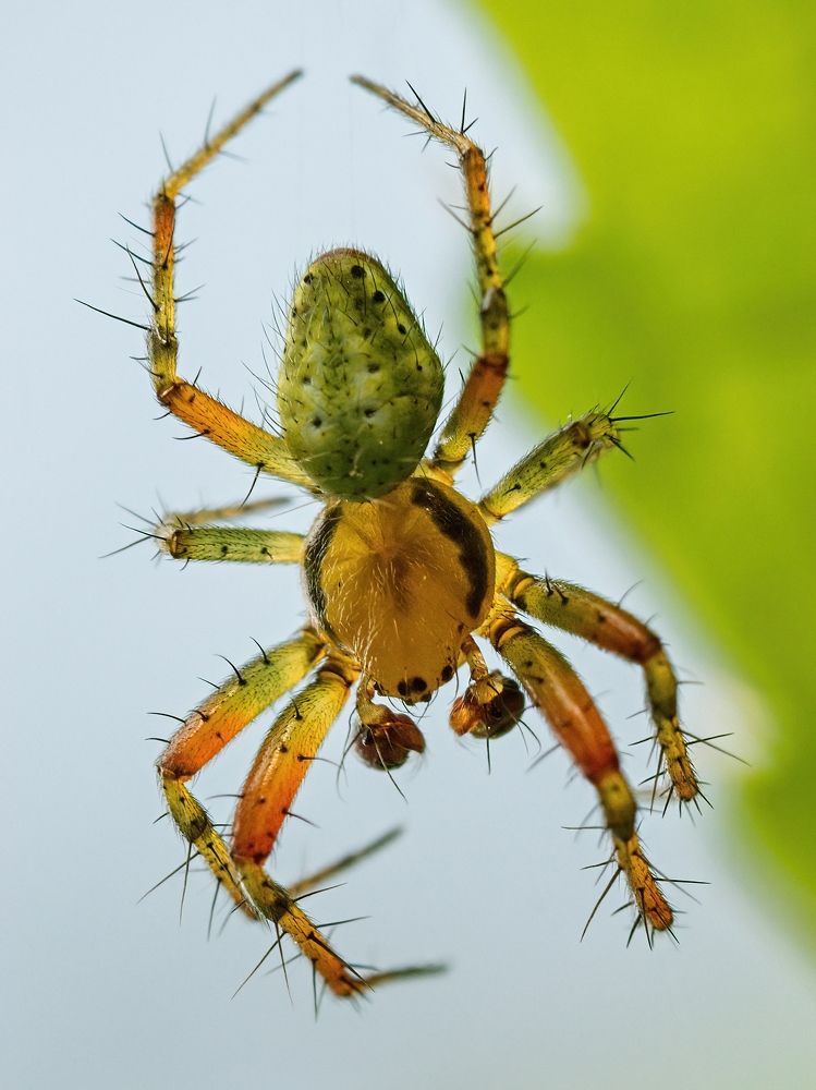 Photograph by Roman Chudaš