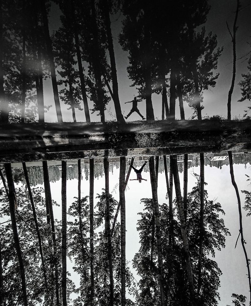 Photo #7006819