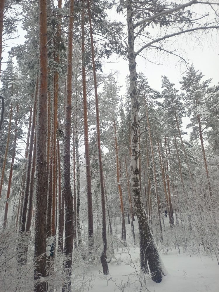 Photograph by Елизавета Мишина