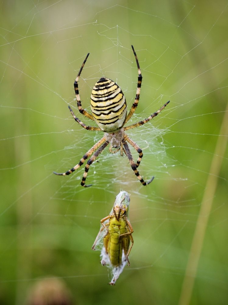 Photograph by Roman Chudaš