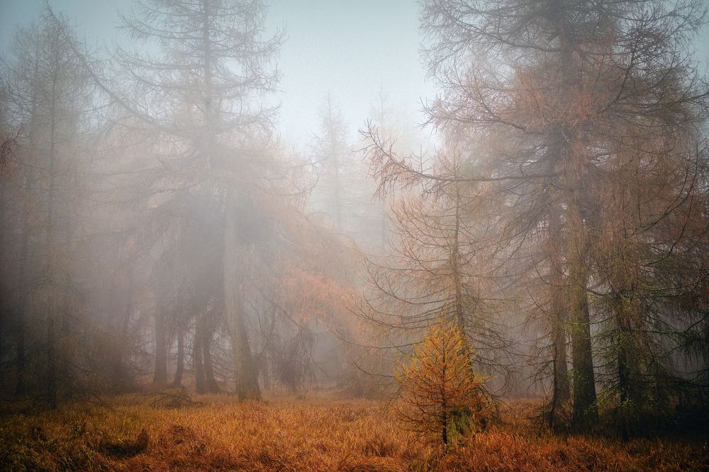 Photograph by Андрей Ожерельев