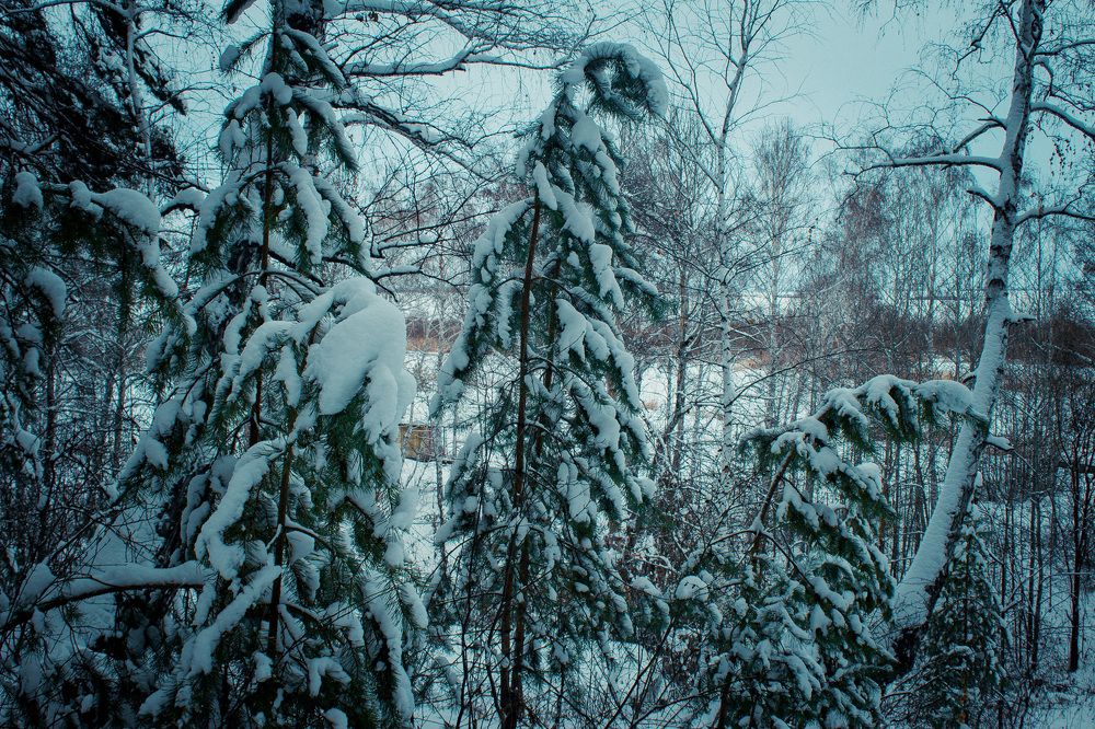 Photograph by Светлана Крон