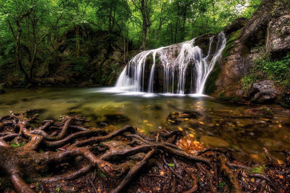 Фотография автора Евгений Ерохин