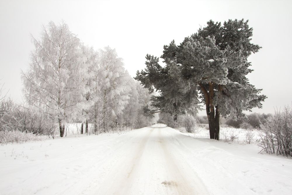 Photograph by Дмитрий Пасынков
