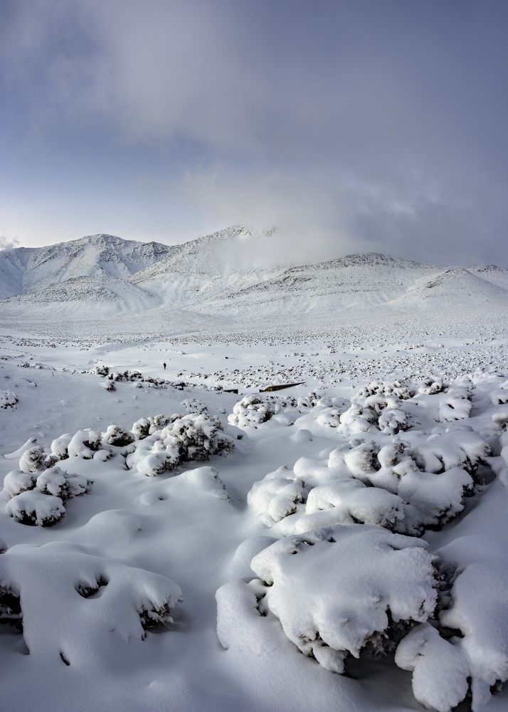 Фотография автора majid arab