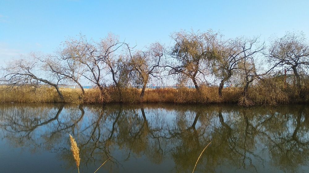 Photograph by Наиля Омарова