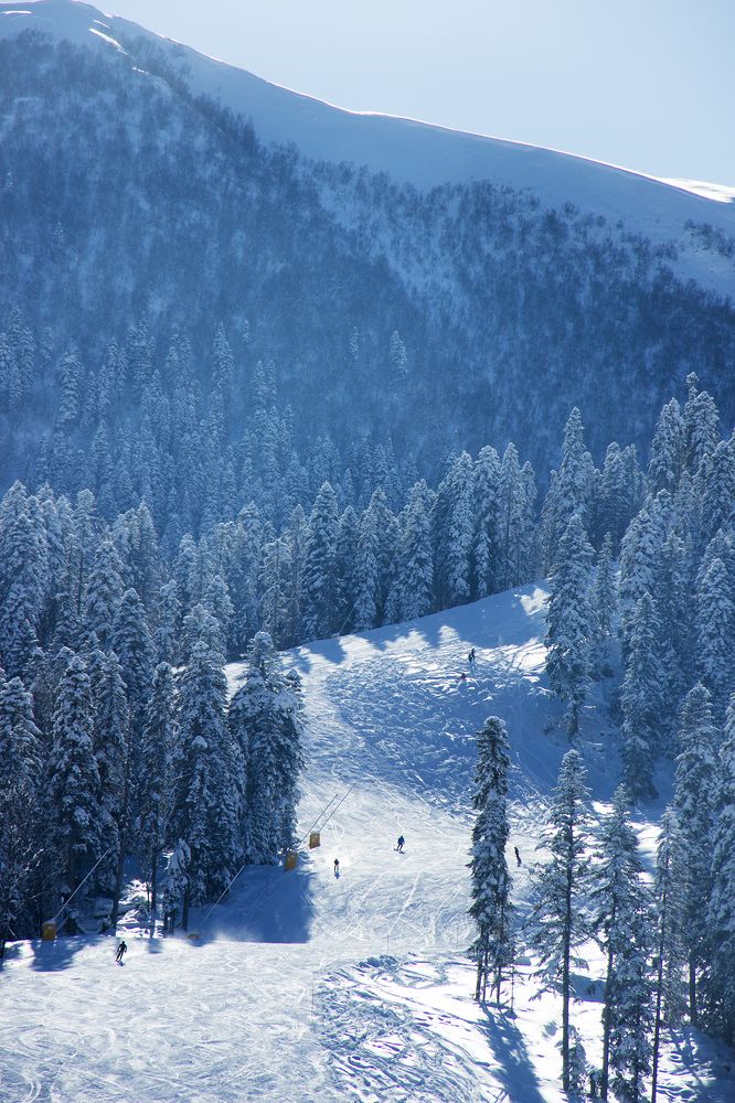 Photograph by Надежда Бормотова