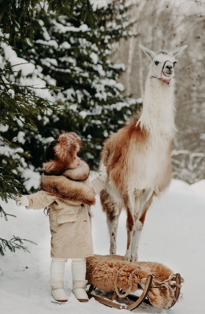 Photograph by Юлия