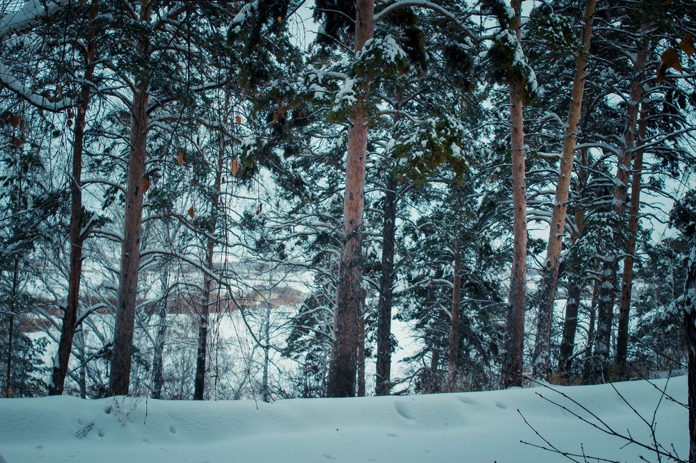 Photograph by Светлана Крон