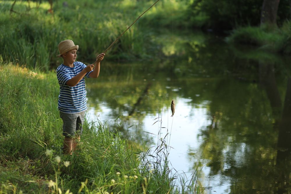 Photograph by Людмила Колесниченко