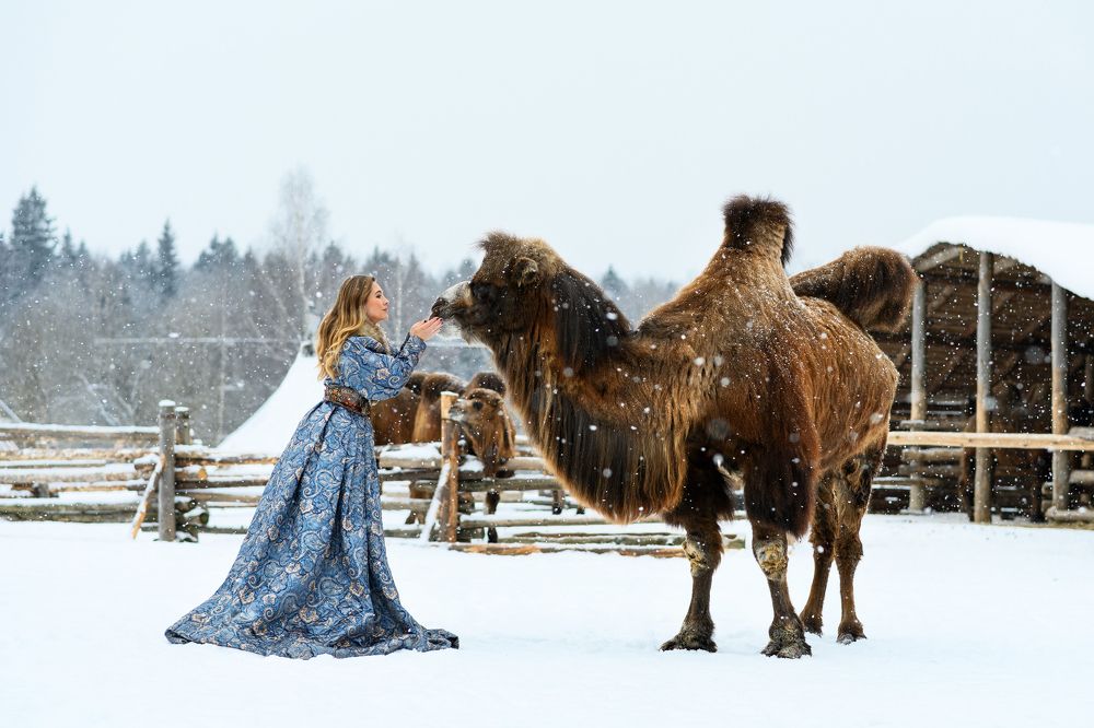 Photograph by Юлия