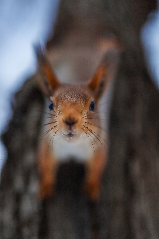 Photograph by Гурский Денис