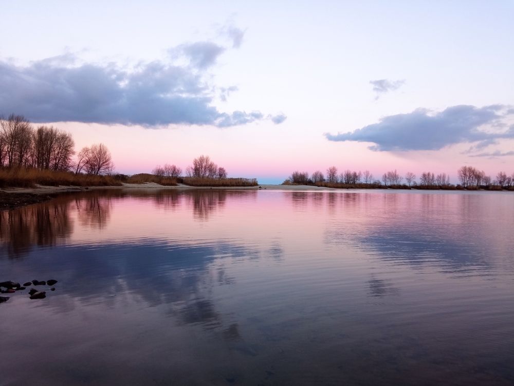 Фотография автора Олена Литвин