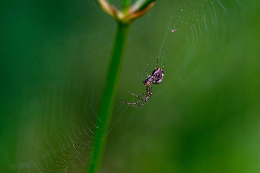 Photograph by Олег Сальников