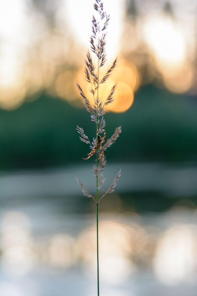 Photograph by Олег Сальников