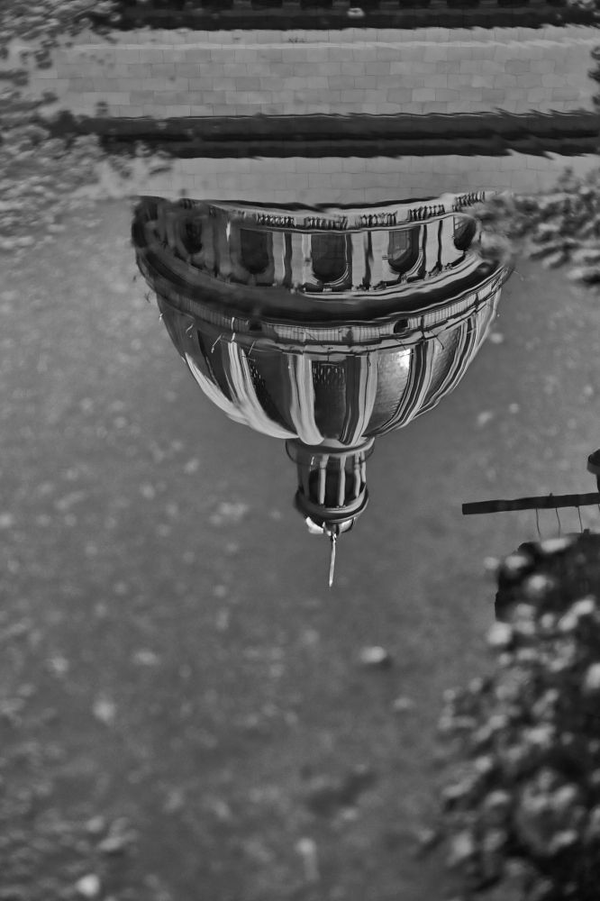 Photograph by Ryanny Torna