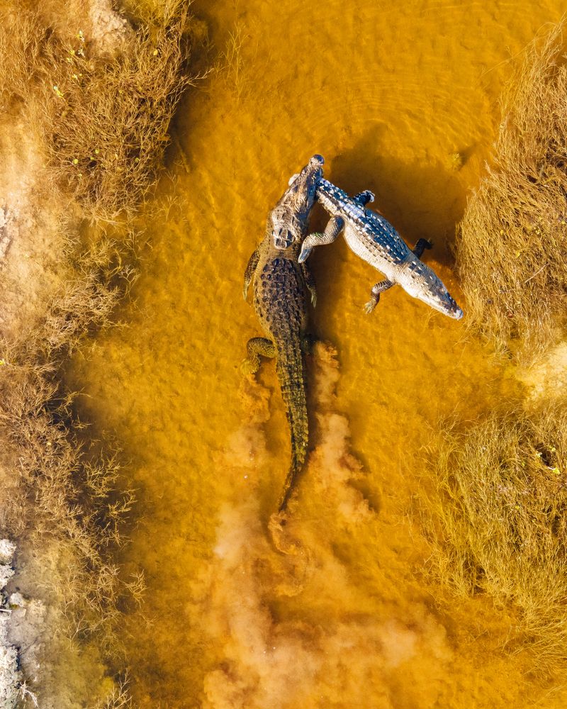 Photograph by Miguel Diaz