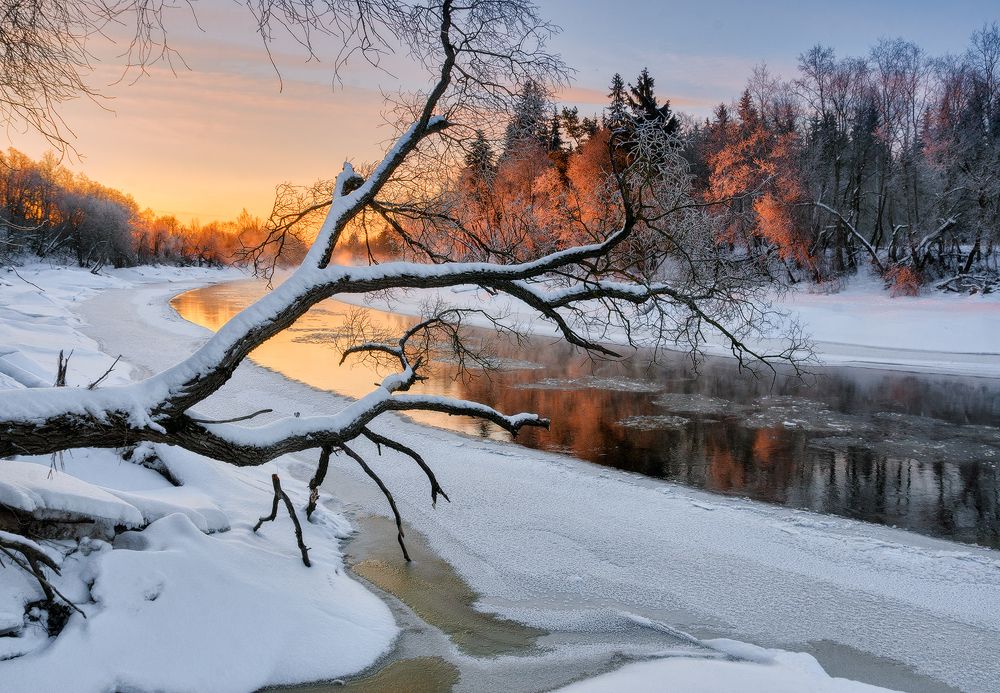 Photograph by Andrew Kuzmin