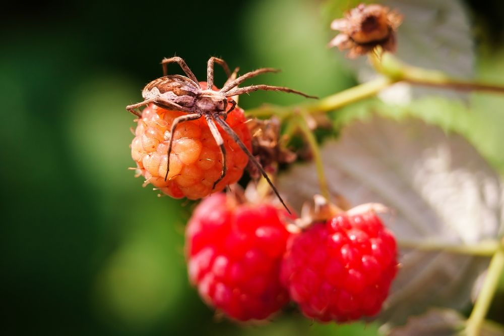 Photograph by Дмитрий