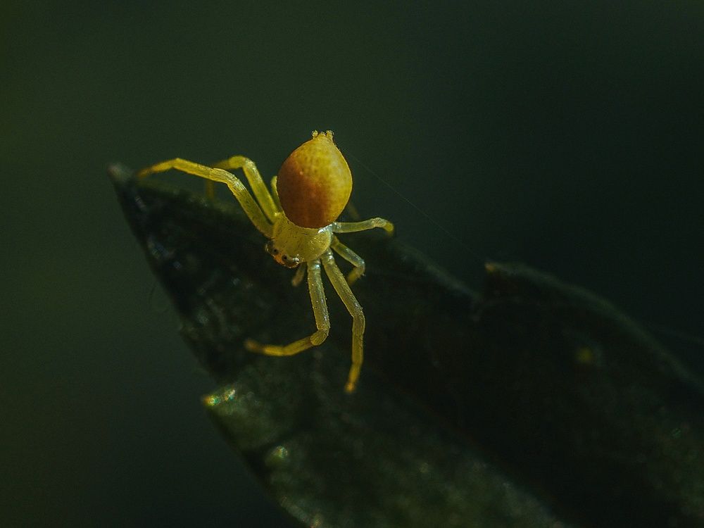 Photograph by Лейла Прощина