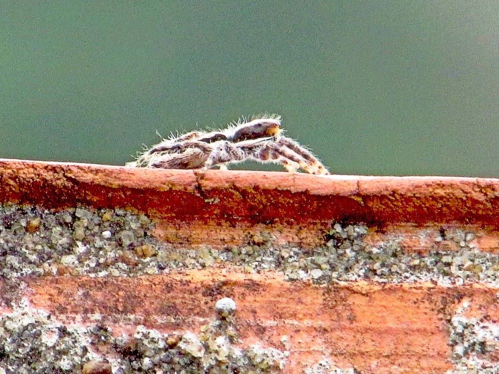 Photograph by Rui Amaro Gil Marques