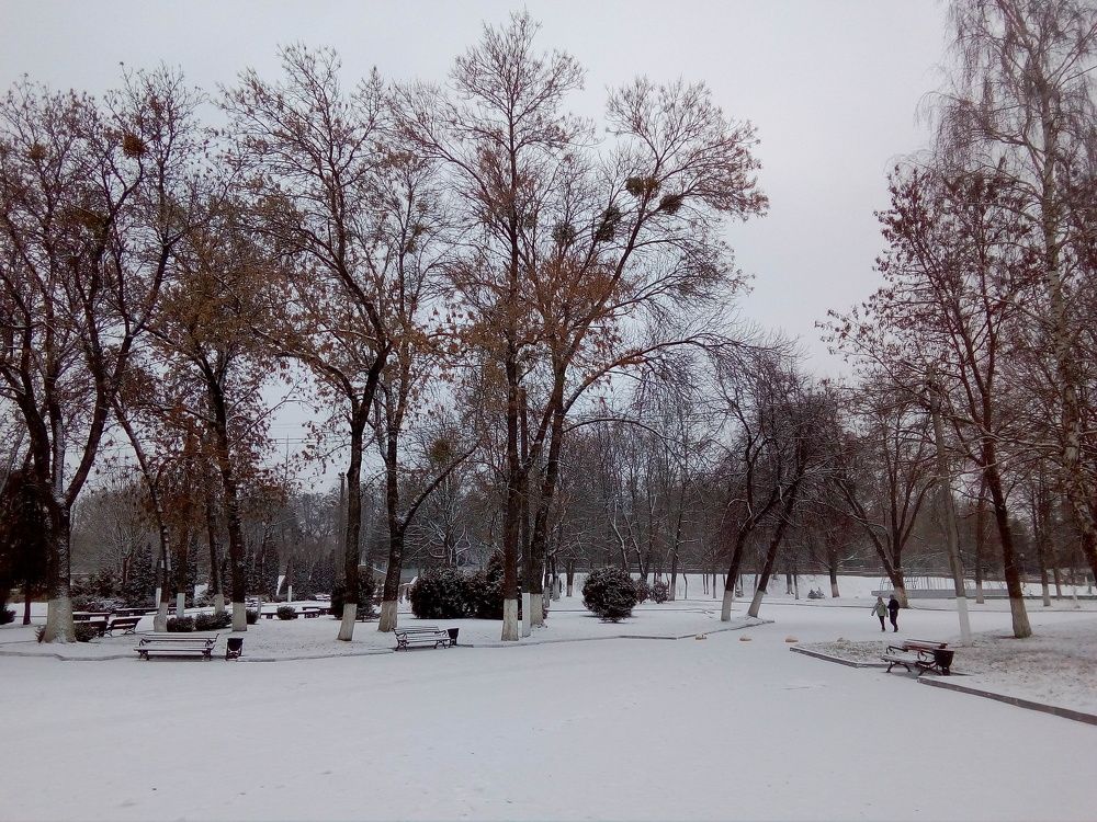 Photo #7007318