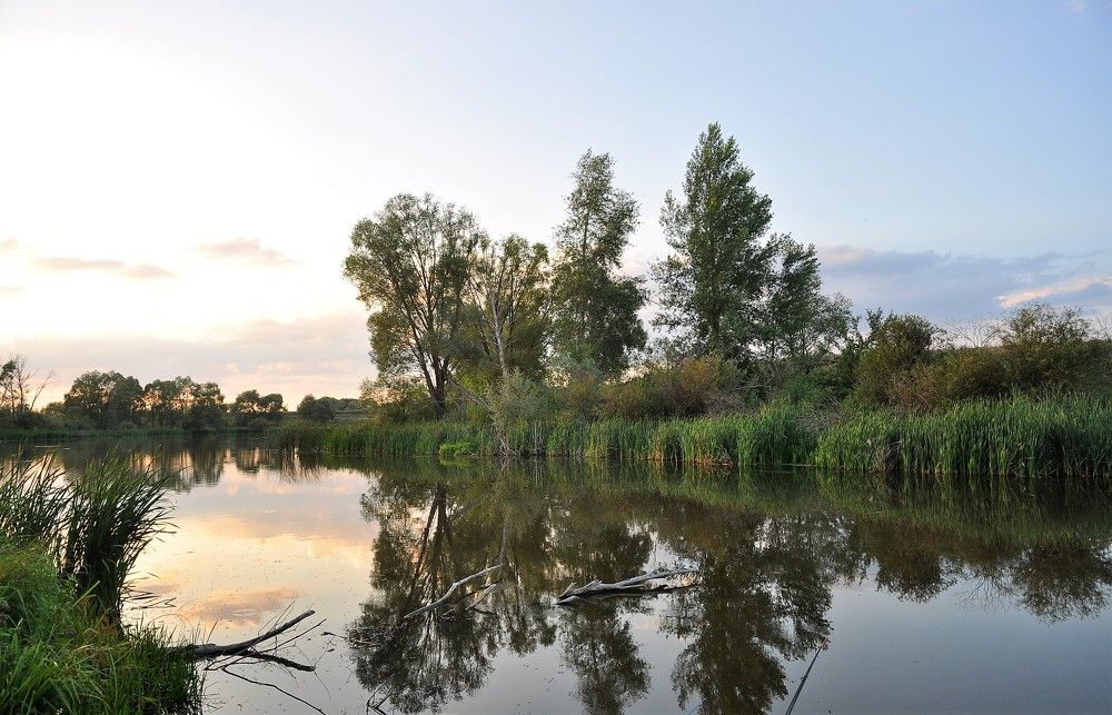 Photograph by Лариса Стрекулева