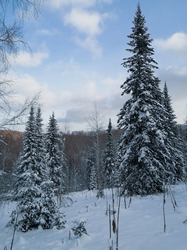 Photograph by Никита Сокольников