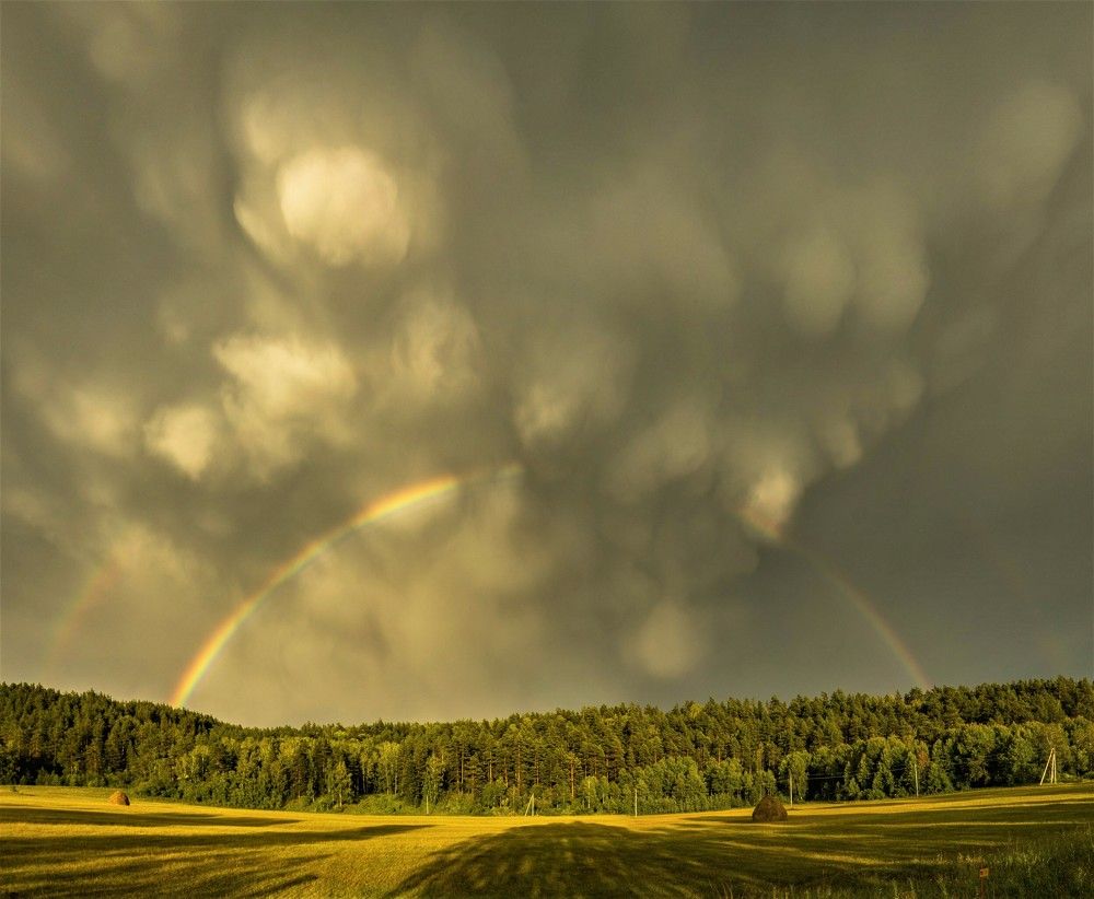 Photograph by Михаил Кузнецов