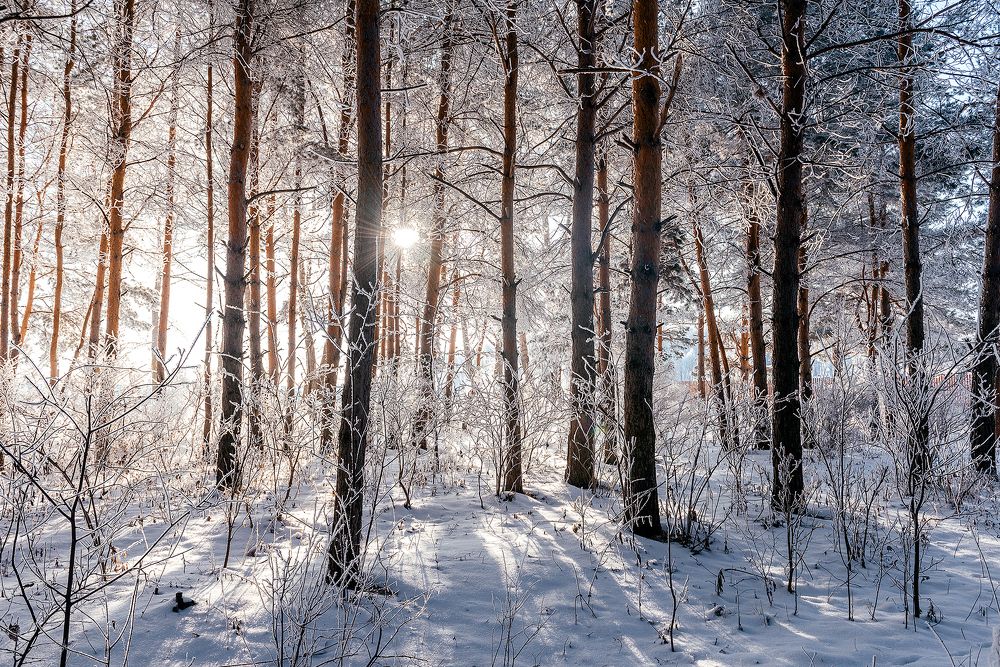 Photograph by Ильдар Валитов