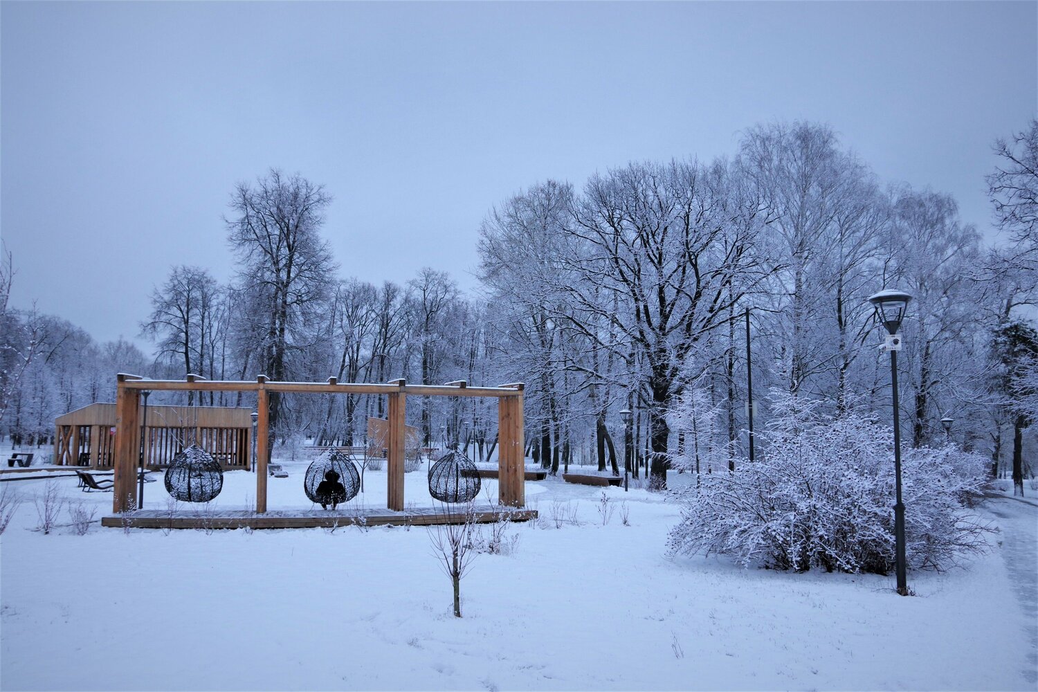 Photo #7007475