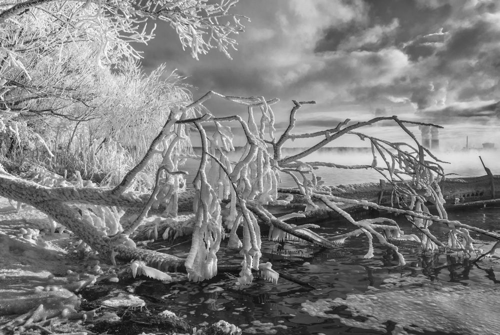 Суровая зима...