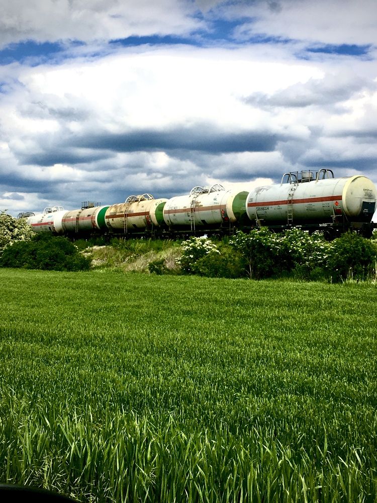 Photograph by Olga Afanaseva