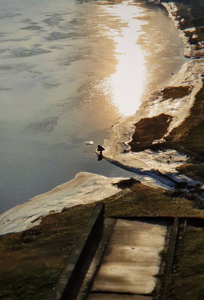 Photograph by Дарья Полуянова