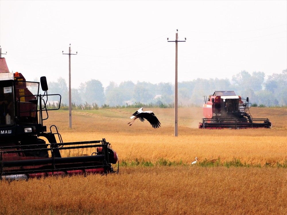 Photograph by Виктория Спицына