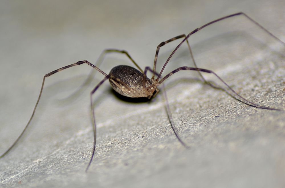 Photograph by Алексей Литвинов