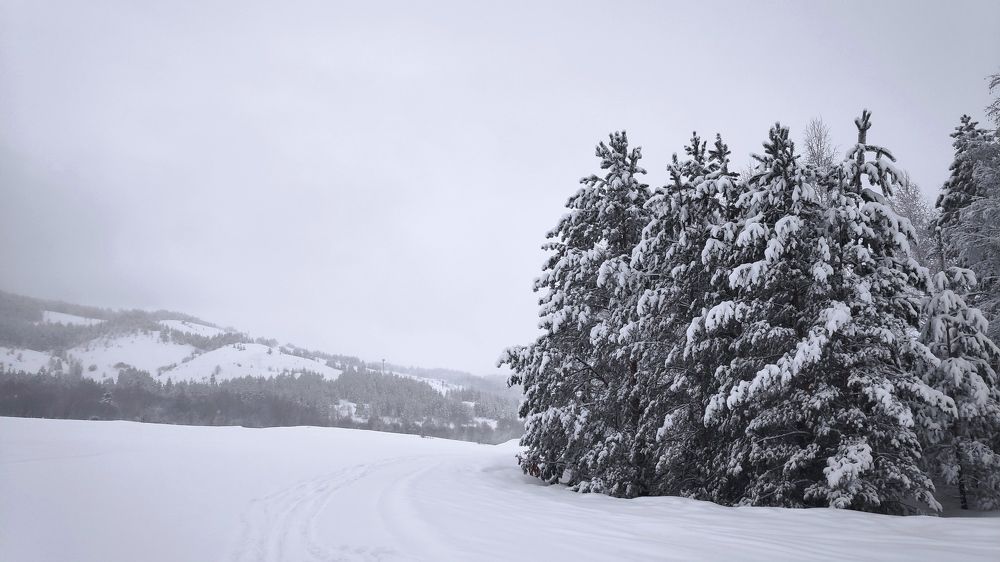 Photograph by Елена