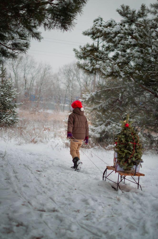 Поход к мечте