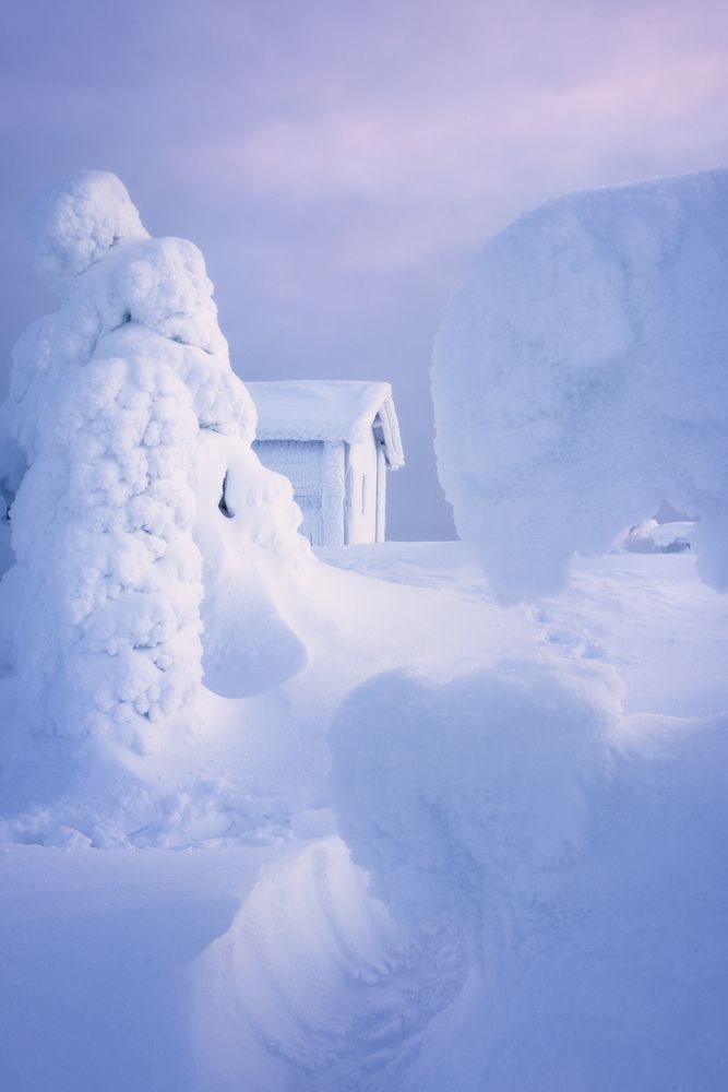 Photograph by Oleg Rest