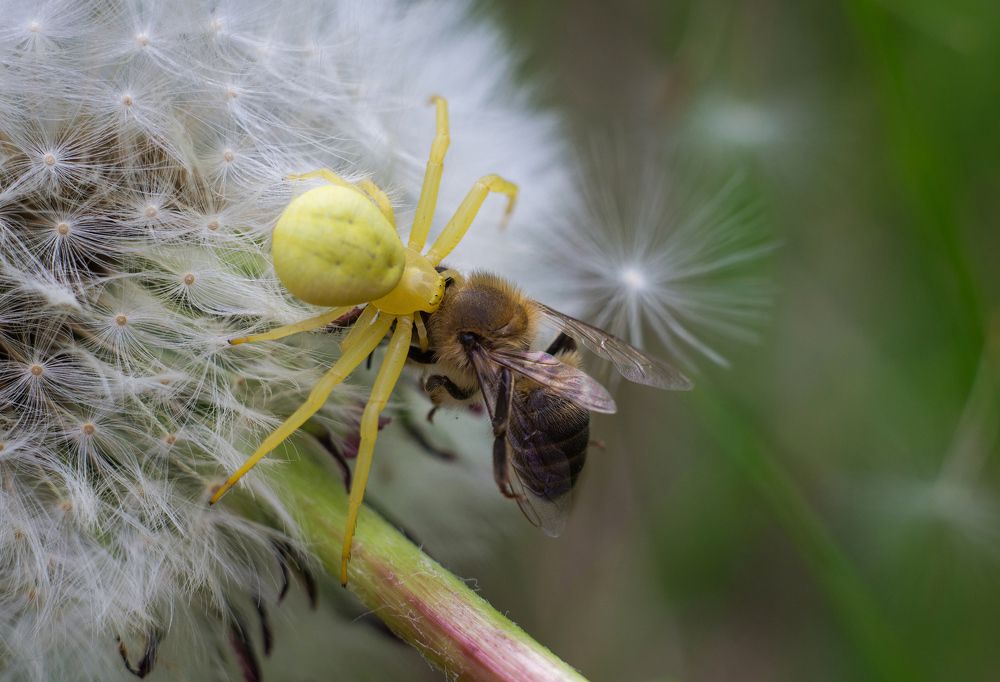 Photograph by Андрей Бурда