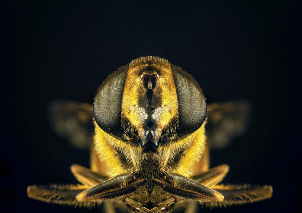 Photograph by Михаил Курихин