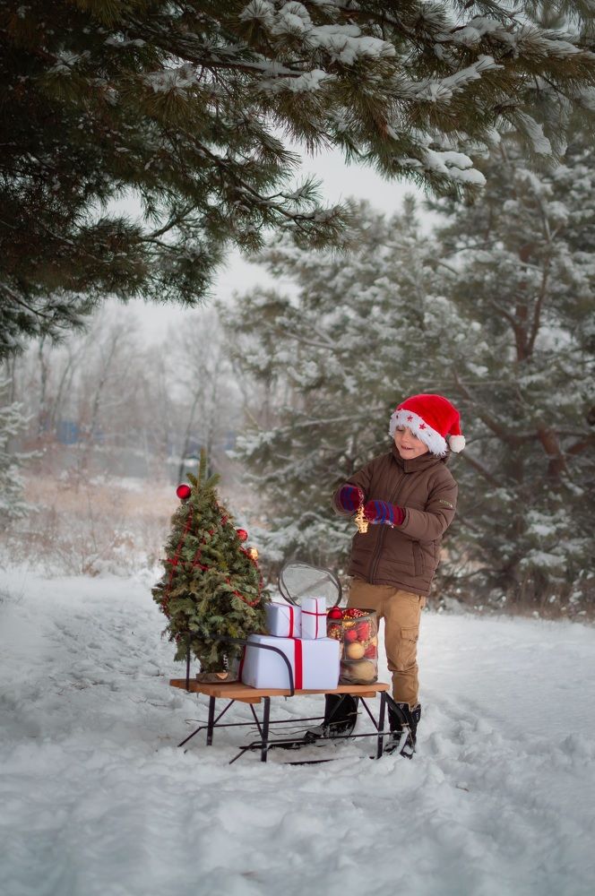 Photograph by Буря Алина