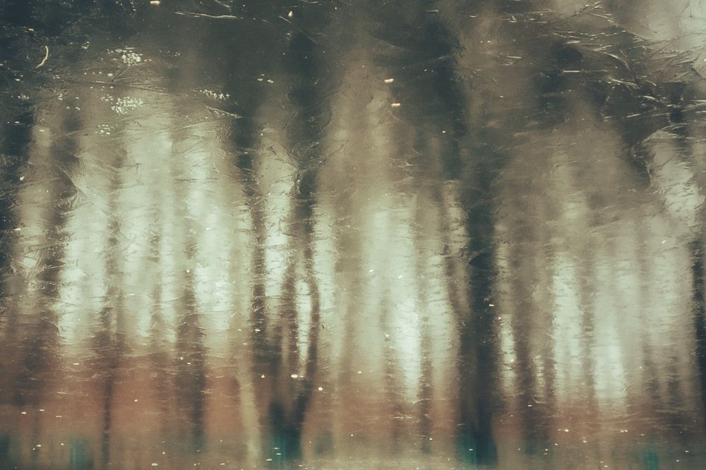 Photograph by Дарья Абрамова