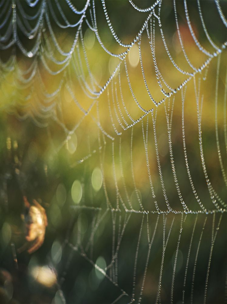 Photograph by Юлия Быкова