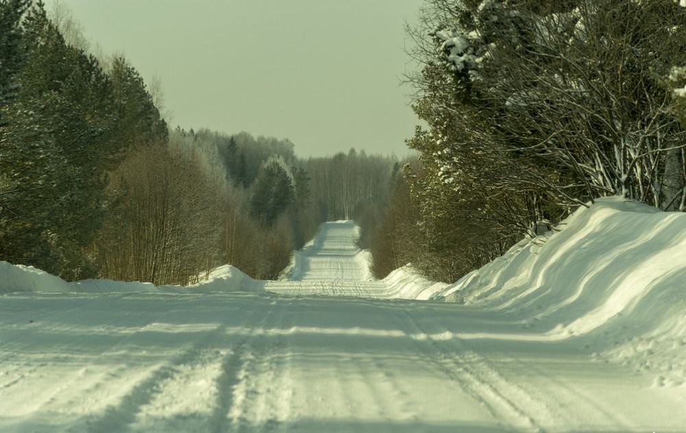 Photograph by Игорь Скорняков